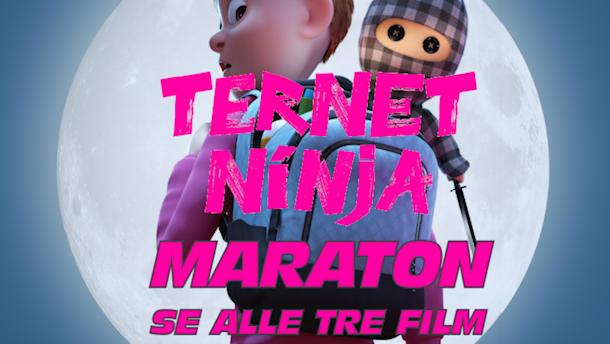 Ternet Ninja Maraton